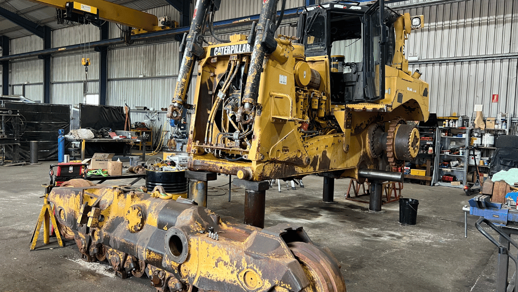 CATERPILLAR PAGE (BEFORE) (1)